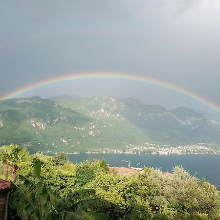 Apartment A Lago Private Beach And Parking Oliveto Lario Room photo