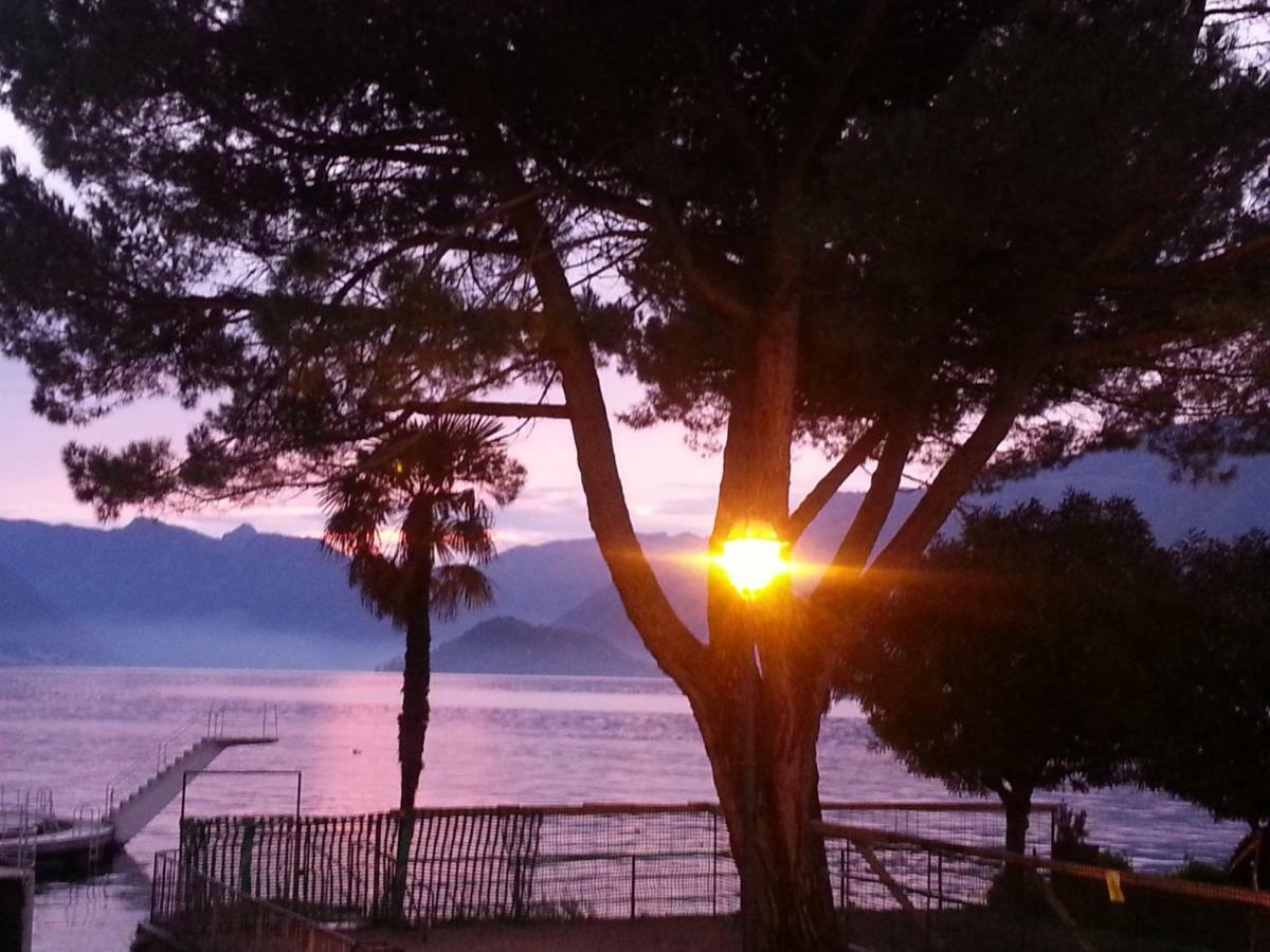 Apartment A Lago Private Beach And Parking Oliveto Lario Exterior photo