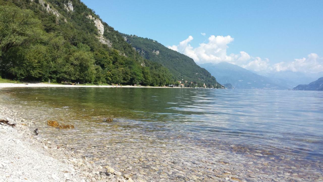 Apartment A Lago Private Beach And Parking Oliveto Lario Exterior photo
